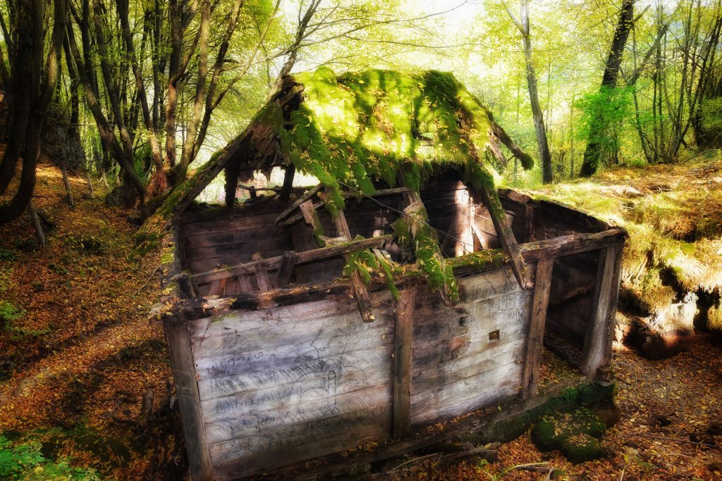 Unutrasnjost srusene drvene vodenice na Taorskim vrelima prekrivene mahovinom i jesenjim liscem