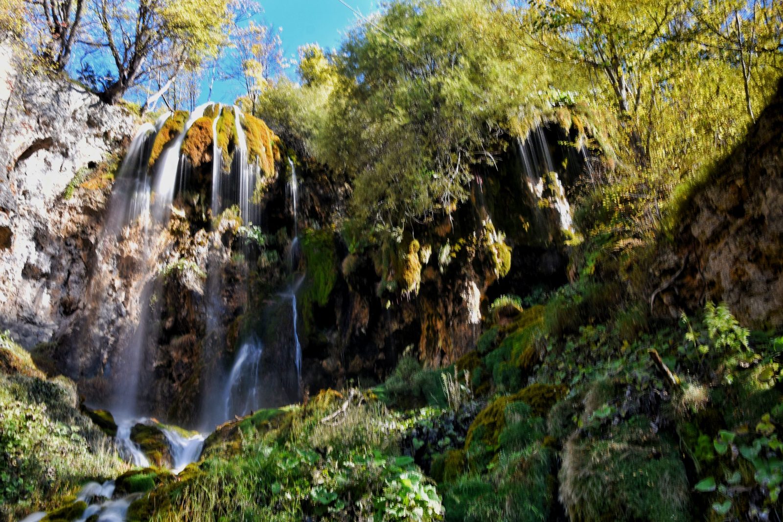 izmogugla-pbozin.com