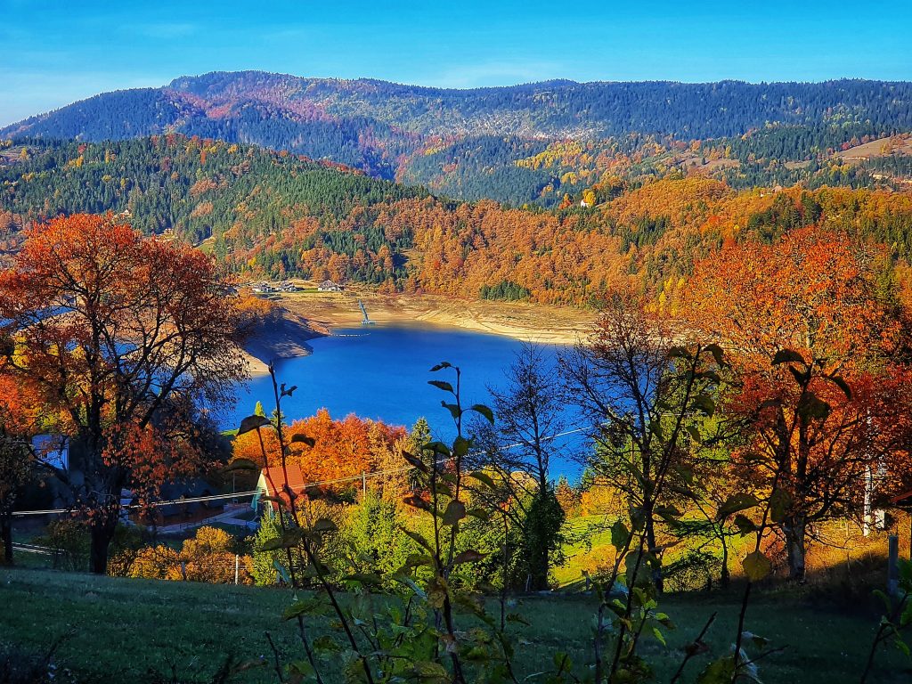 Pogled na jezero Zaovine na planini Tari u jesen, sa izraženim kontrastom između narandžaste šume i plave vode