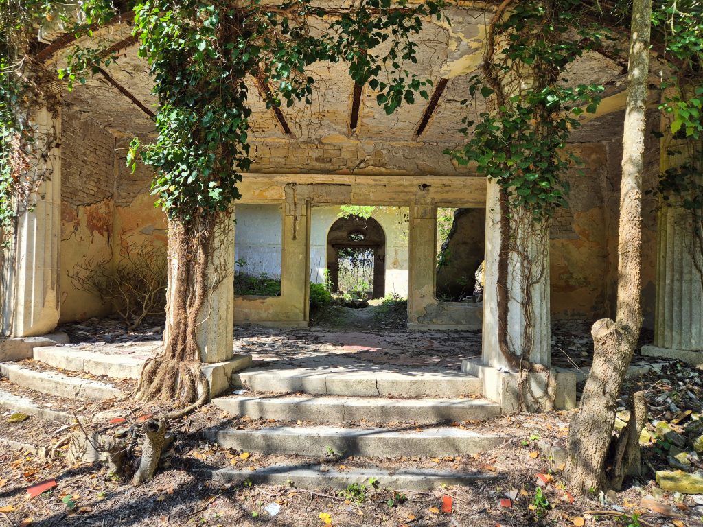 Rusevine glavnog ulaza u dvorac Fernbah na Baba Pusti sa stepenistem i stubovima obraslim u brsljan