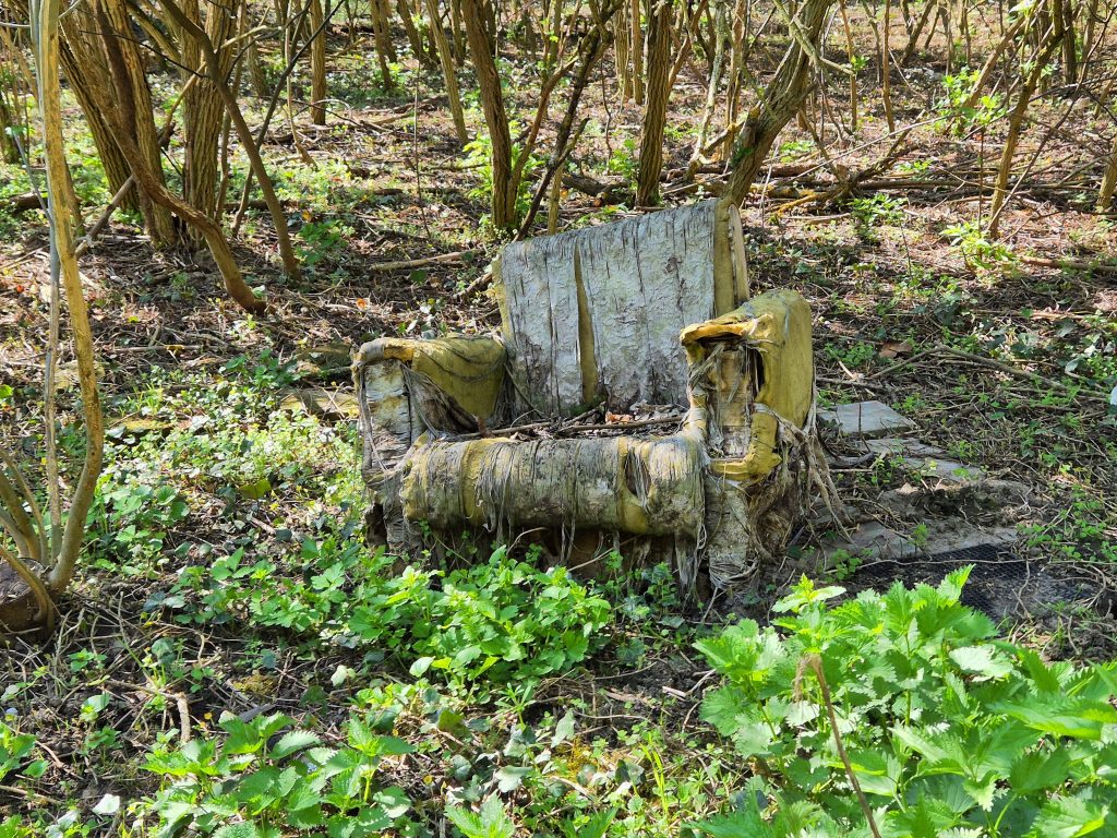 Trula, ogoljena fotelja u sumi na imanju Baba Pusta kao simbol propasti luksuza porodice Fernbah
