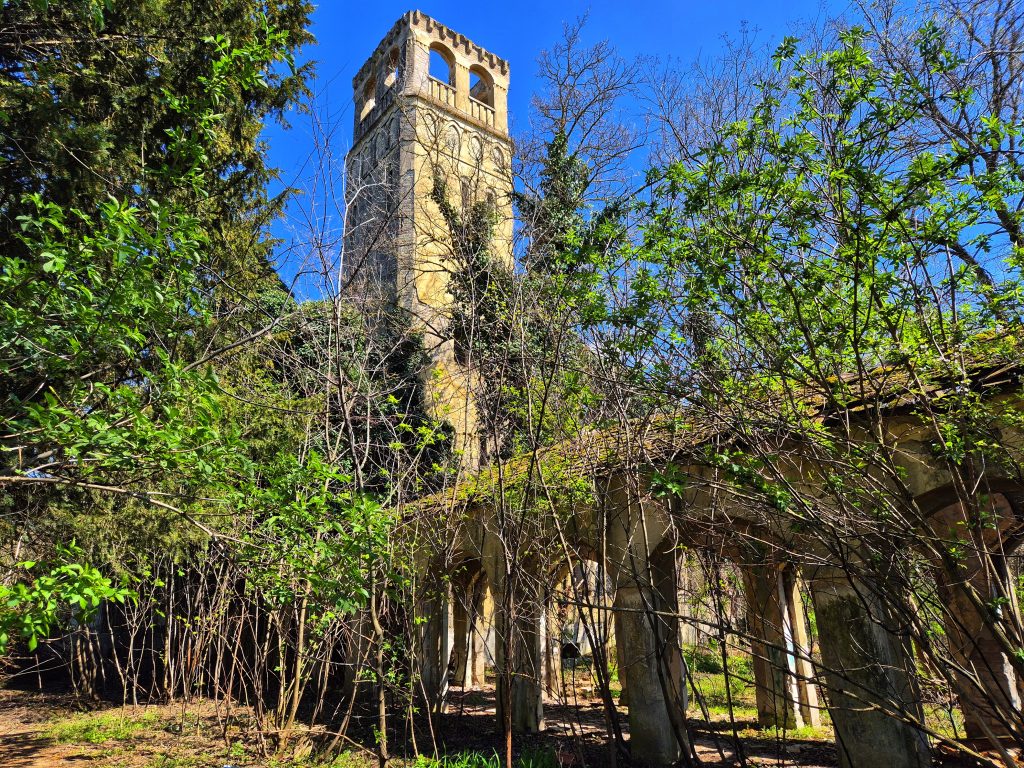 Rusevni toranj dvorca Fernbah na Baba Pusti posmatran kroz arkade i divlje rastinje nekadasnjeg parka