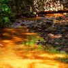 Crveno vrelo Djavolja Varos mineralna voda ruda gvozdja