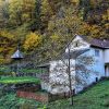 Donja Savina isposnica kapela u šumi pored reke Studenice