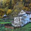 Donja Savina isposnica kapela u šumi pored reke Studenice