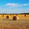 Tipično laloški: Beskrajna polja Banata ukrašena balama sena, slika koja vas prati dok se približavate tajanstvenoj katedrali Banatska ravnica sa brojnim balama sena na polju pod plavim nebom i oblacima