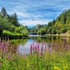 Jezero Lipovica na planini Tari i pogledom na stenu "Grad"