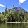 Pogled na planinski vrh iznad Zelenog jezera sa nagnutim drvetom iznad bistre vode